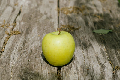 Close-up of apple on tree