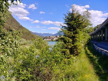 Scenic view of river by trees against sky