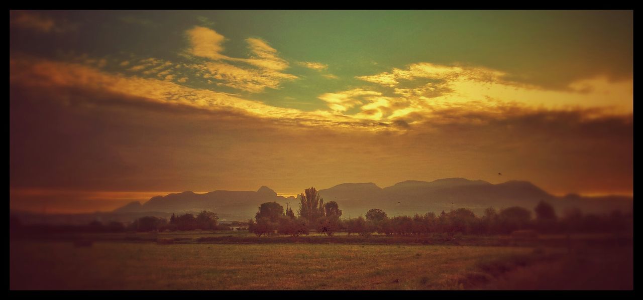 sunset, transfer print, sky, tranquil scene, scenics, auto post production filter, landscape, tranquility, beauty in nature, cloud - sky, field, orange color, nature, cloud, idyllic, grass, cloudy, outdoors, no people, dramatic sky