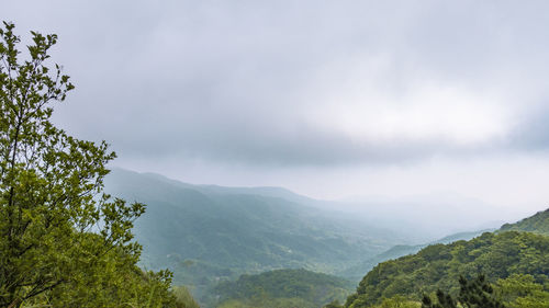 nature