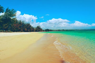 Scenic view of beach against sky