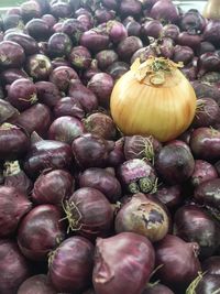 Full frame shot of onions for sale at market