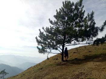 Tree on mountain road against sky