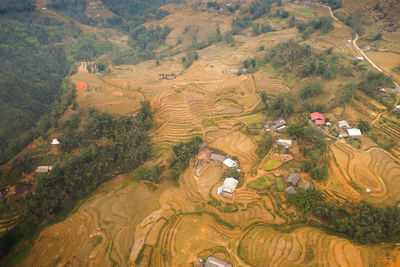 High angle view of agricultural field