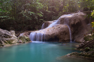 Scenic view of waterfall in forest