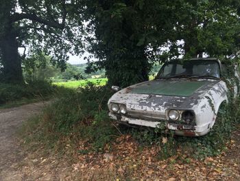 Car on field