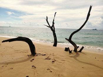 Scenic view of beach against sky