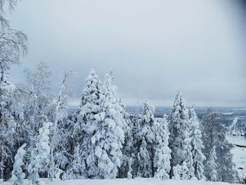 Snow covered land and trees against sky