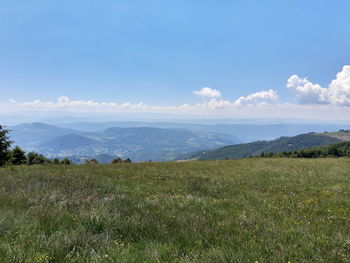 Scenic view of field against sky