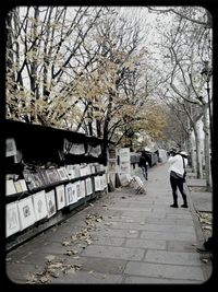 Bare trees in park