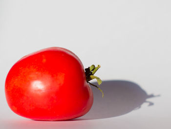 Close-up of tomato against white background