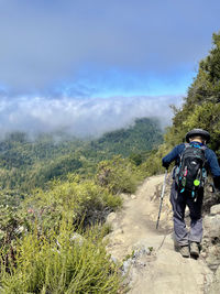 Man with umbrella on mountain