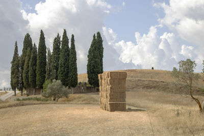 Panoramic shot of trees on field against sky