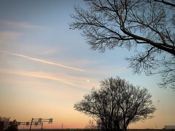 Low angle view of silhouette tree against sky at sunset