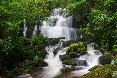 Waterfall in forest