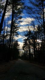 Empty road along trees