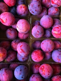 High angle view of fruits for sale in market