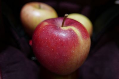 Close-up of red fruit