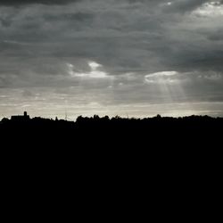 Silhouette of trees at sunset