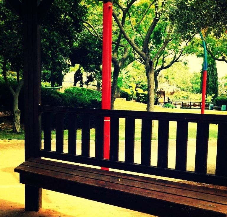 tree, park - man made space, railing, bench, tree trunk, park bench, park, growth, branch, sunlight, shadow, playground, nature, day, outdoors, built structure, empty, absence, tranquility, wood - material