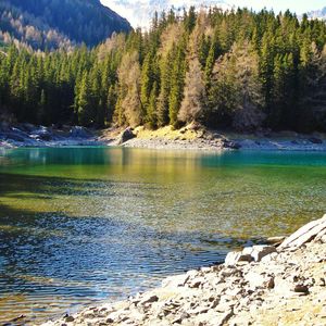 Scenic view of lake