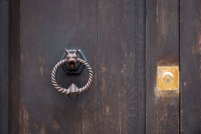 Close-up of cat on door