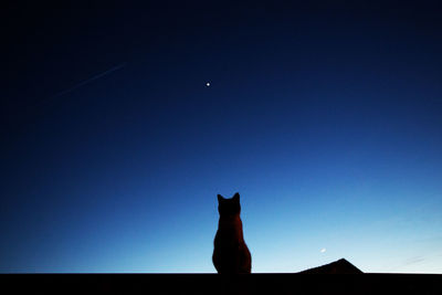 Silhouette horse against sky at night