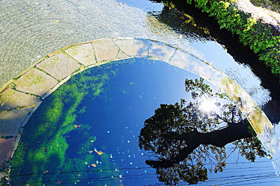 High angle view of silhouette trees against blue sky