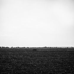 Scenic view of agricultural field against clear sky