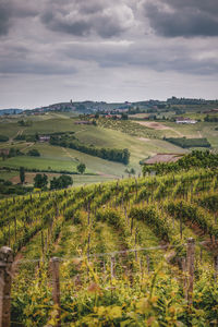 Hills in italy 