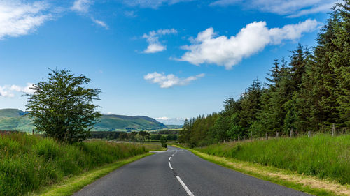 Close-up of road amidst trees on both sides