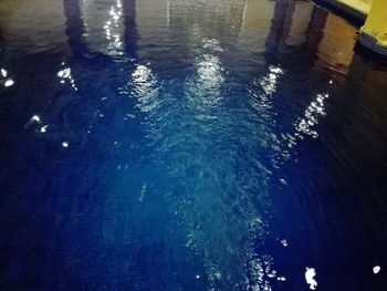 Reflection of trees in water