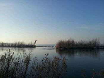 Scenic view of lake at sunset