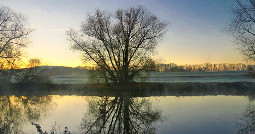 Bare trees by lake against sky during sunset