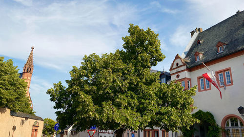 Low angle view of trees and buildings against sky