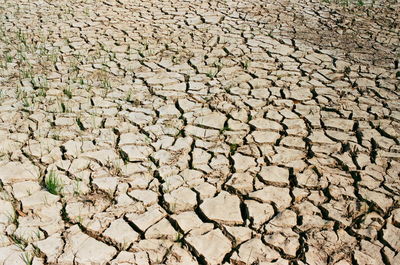 Close-up of cracked land