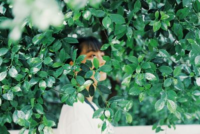 Woman seen through leaves