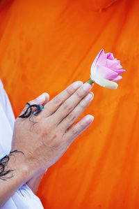 Cropped hand holding pink lotus in temple