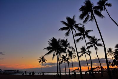 Silhouette of palm trees on beach during sunset