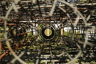 Metal structure of trees