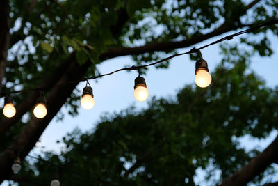 Low angle view of light bulbs hanging from tree