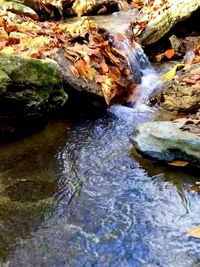 Stream flowing through rocks in forest