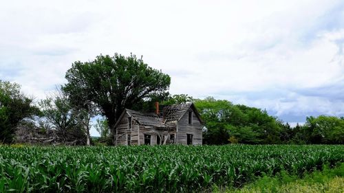 House on field against sky