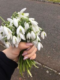 Cropped hand of woman holding flowers on road