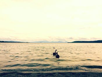 Man sitting on beach against sky during sunset