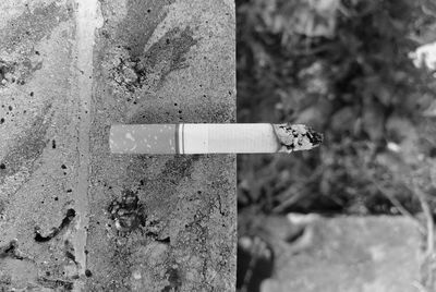 Close-up of cigarette on wall