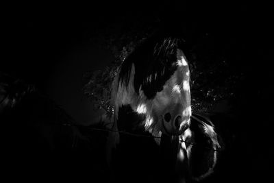 Close-up of woman hand in darkroom