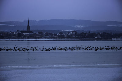 Birds flying over lake against sky during winter