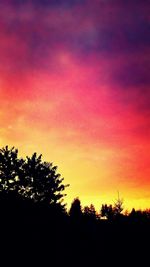 Silhouette of trees at sunset