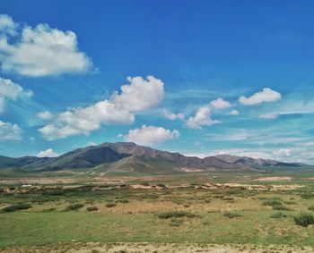 Scenic view of field against sky